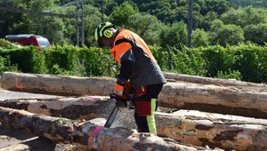 Lesného robotníka pri výrube zavalil kmeň stromu. Utrpel vážne zranenie