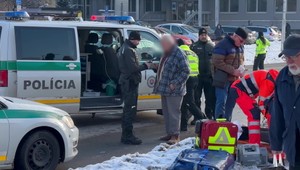 Vodič vpálil do ľudí na chodníku a chcel ujsť