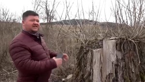 Starosta mal dať pokyn na zrezanie nadmerného množstva topoľov. Bráni sa, že on chybu nespravil