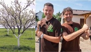 Chcete mať budúci rok bohatšiu úrodu ovocia? TOTO urobte ešte pred prvými mrazmi!