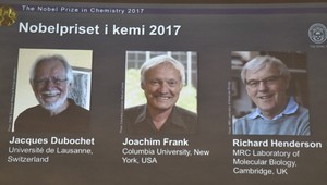 Biomolekuly ako na dlani. Nobelova cena za chémiu má svojich víťazov