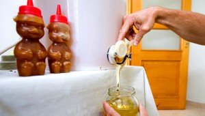 Kontrolóri odhalili ďalšie nedostatky. Aj antibiotiká v mede