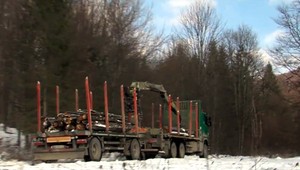 Nové vedenie lesníckeho podniku odhalilo nekalé praktiky bývalého šéfa. Kontrola odhalila škody za vyše milióna