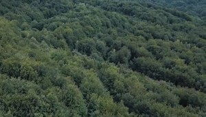 VIDEO: Z turistov a miestnych sa v rusínskych obciach na východe Slovenska stávajú priatelia