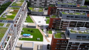 V Bratislave pribudnú zelené strechy, mesto to má ochladiť