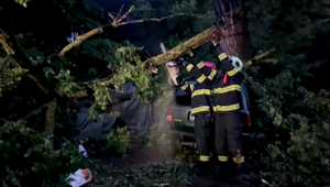 Pokojná rybačka sa zmenila na boj o život. Na rybárov spadol počas búrky mohutný strom