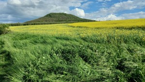 Keď láska k postavám počítačovej hry prekročí zákon