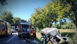 Tragická nehoda pri Hlinnom: Pri čelnej zrážke zomrel 21-ročný vodič