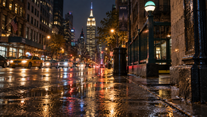 Potkany ovládli New York. Teraz sa niečo zmenilo