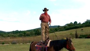 Za dobrodružstvom do Kamienky, zažijete divadlo, psie záprahy či jazdu na koni