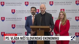 Tlačová beseda strany PS: Vláda ničí slovenskú ekonomiku