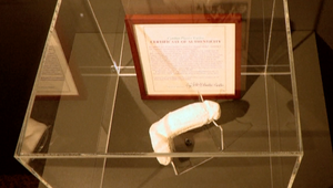 Múzeum sa pochválilo unikátnym úlovkom! Vystavuje PENIS slávneho muzikanta!