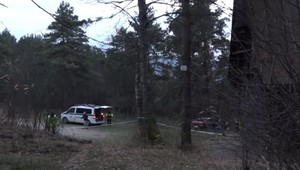 Mladý muž, ktorého zrazila priateľka za volantom, náraz neprežil