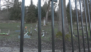 Domaša odkryla svoje tajomstvá: Lebky, kosti a zabudnutý cintorín