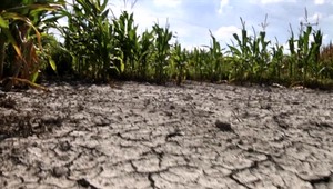 Panel OSN: Horúčavy a suchá sa budú stupňovať. Riešenie je v našich rukách