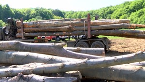 Na muža pri práci padol strom. Zasahovať museli aj leteckí záchranári