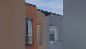 V petržalskom paneláku sa usadili tisícky včiel. Zasahovať museli hasiči