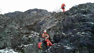Bezradného psa museli zo skaly zachraňovať hasiči