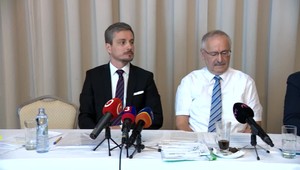 Rapid life životná poisťovňa pôjde zrejme do konkurzu