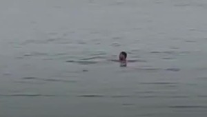 Horor v Egypte: Muža na hrôzostrašných záberoch napadol žralok