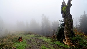 Jeseň si našla svoje miesto, slnko nečakajte