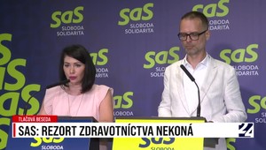 Tlačová beseda strany SaS o tom, že rezort zdravotníctva nekoná
