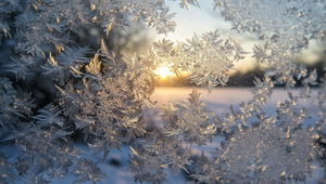 Servác, Pankrác a Bonifác v týchto dňoch úradovali. Zistili sme, koľko Slovákov nosí tieto mená