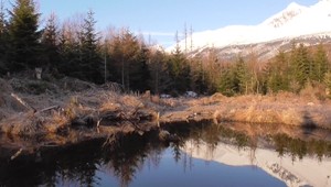 Prvé lúče na Zelenom plese