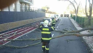 Prepadnutá cesta i popadané stromy. Silný vietor zanechal na Slovensku množstvo škôd