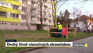 Bratislava sa chce stať cirkulárnym mestom, živé stromčeky dostanú druhý život