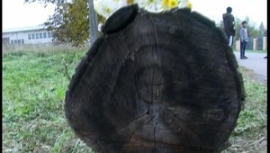 Na východe sa Rómom zjavil Ježiš