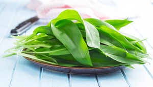 Je tu sezóna medvedieho cesnaku: 3 rýchle a chutné recepty, ktoré musíte vyskúšať!