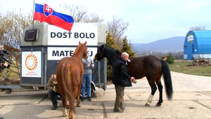 Farmári vymenili ťažké stroje. Do Bratislavy idú na koňoch