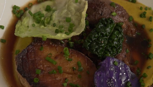 Hlavné jedlo: Holub v lese