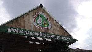 Zničila ťažba v Poloninách bobrí biotop? Ochranári žiadajú prešetrenie