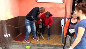 Besnota je pod kontrolou. V mnohých osadách ale na očkovanie psov nedbajú