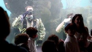 Deti sa prišli pozrieť do akvária na ryby, v nádrži boli vojaci