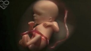 VIDEO: Tehotenstvo v štyroch fascinujúcich  minútach