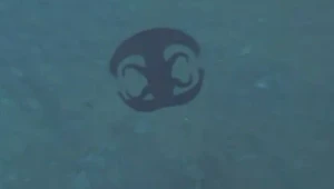 Na dne oceánu našli strašidelného záhadného tvora: O príšere vznikli aj zábery