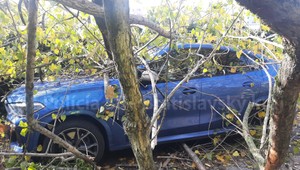 V hlavnom meste spadol strom na niekoľko zaparkovaných áut