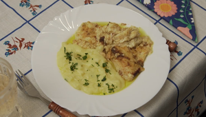 Hlavné jedlo: Štyri druhy a plutva