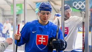 Martin FEHÉRVÁRY si na Nemcov verí