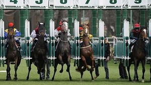 Na 31. ročníku Turf-gala špička koní zo stredoeurópskeho regiónu