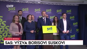 Tlačová beseda strany SaS: Výzva Borisovi Suskovi