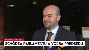 Poslanci NR SR o schôdzi parlamentu a voľbe predsedu