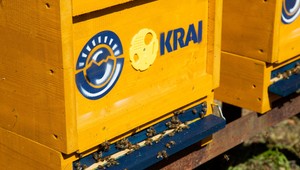 Kraj si adoptuje stovku úľov. Vo vybraných predajniach začne ponúkať domáci med