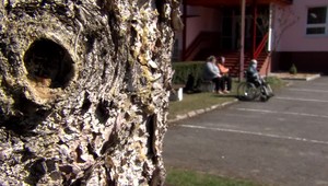 Firmy darovali státisíce eur na ochranné pomôcky do zariadení sociálnych služieb