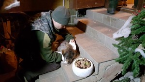 Streľba pri Rožňave: Výstrely na dvore trafili psa