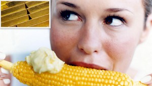 Kríza urobila divy. Kukurica stojí viac ako zlato