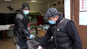 Kvôli dištančnej výučbe nemôžu žiaci na stredných odborných školách praxovať, o zvieratá sa starajú učitelia